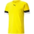 Męska koszulka treningowa teamRise Jersey M 704932 07 - Puma