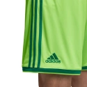 Męskie spodenki Regista 18 Short M CF9598 - Adidas
