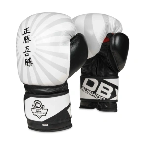 Rękawice bokserskie 10oz - Japan - Valor Series