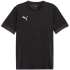 Koszulka Puma teamGoal Matchday Jersey M 705747 03 pánské