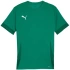 Koszulka Puma teamGoal Matchday Jersey M 705747 05 pánské