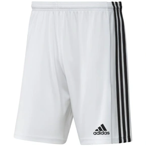 Męskie spodenki Squadra 21 Short M GN5773 - Adidas