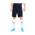 Męskie buty TeamGoal 23 Casuals M 656581-06 - Puma