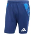 Spodenki adidas Tiro 24 Competition Training M IR5485