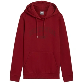 Bluza Puma Ess+ Logo LAB Hoodie FL W 682987 13 Bluza Puma Ess+ Logo LAB Hoodie FL W 682987 13