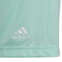 Spodenki dziecięce Entrada 22 Jr HC5058 - Adidas