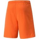 Męskie spodenki TeamRise Short Prist M 704942 08 - Puma