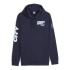 Bluza z kapturem Puma Manchester City Football Icons 774384-05