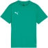 Koszulka dla dzieci Puma TeamGoal Jersey zielona 658637 05