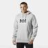 Helly Hansen męska bluza z kapturem HH LOGO HOODIE 54582 949 pánské