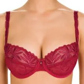 Biustonosz Belle de Jour - Felina