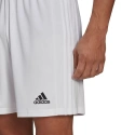 Męskie spodenki Squadra 21 Short M GN5774 - Adidas