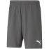 Męskie spodenki TeamRise Short M 704942 13 - Puma