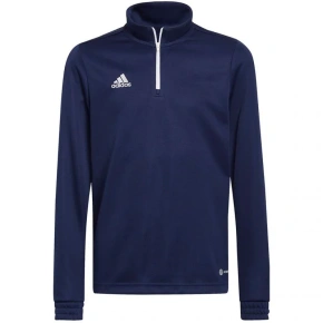 Dziecięca bluza treningowa Entrada 22 Tr Top Jr H57484 - Adidas