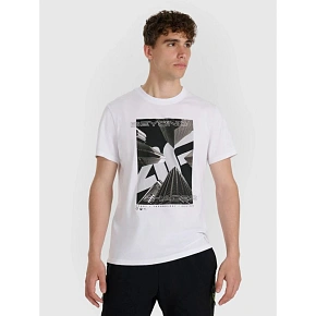 T-shirt męski 4F 4FRAW25TTSHM3258-10S
