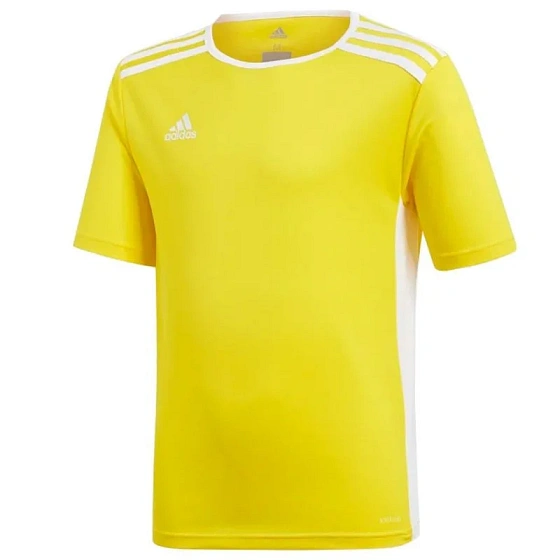Koszulka dziecięca Entrada 18 Jsyy Jr CF1039 - Adidas
