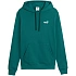 Bluza męska Puma ESS 2 Color Small No.1 Logo Hoodie zielona 684719 41 pánské