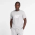 Koszulka New Balance S/S Sport Graphic V Flying M MT43906AG pánské