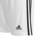 Spodenki młodzieżowe Squadra 21 GN5766 - Adidas