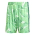 Spodenki bramkarskie adidas Tiro 26 Competition KC5346