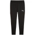 Spodnie Puma Team Goal Slim Training M 659037 03