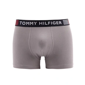 Flex Trunk UM0UM02411-PTM - Tommy Hilfiger