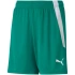 Spodenki Puma teamLIGA Shorts Jr 704931 05