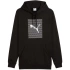 Bluza Puma Ess Logo Lab Hoodie FL M 684669 01 pánské