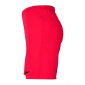 Dziecięce spodenki Park III Knit Junior BV6865-635 - Nike