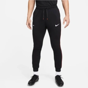 Męskie spodnie treningowe Dri-Fit Libero M DH9666 010 - Nike