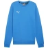 Bluza Puma Team Goal Casuals Crew Neck Sweat M 658592 02 pánské
