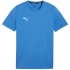Koszulka Puma Team Goal Casuals Tee M 658615 02 pánské
