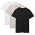T-shirt męski (ZESTAW KOSZULEK 3 SZT.) 4F 3P-SS-4FWMM00TTSHM2256-91S 3PAK