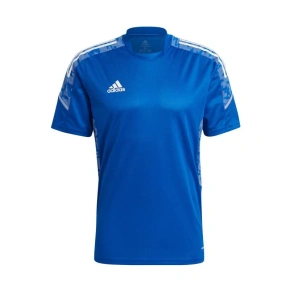 Condivo 21 Training M GH7165 - Adidas