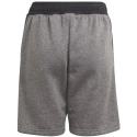 Dziecięce spodnie dresowe Tiro 21 Jr GP8806 - Adidas