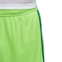 Męskie spodenki Regista 18 Short M CF9598 - Adidas