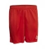Spodenki  Select Pisa M T26-01728