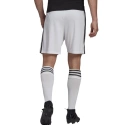 Męskie spodenki Squadra 21 Short M GN5773 - Adidas