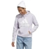 Buty damskie Big Logo FT R HD W IC6899 - Adidas