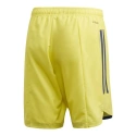 Spodenki męskie Condivo 20 M FI4578 - Adidas