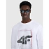 Longsleeve regular z nadrukiem męski 4F 4FRAW25TLONM606-10S pánské