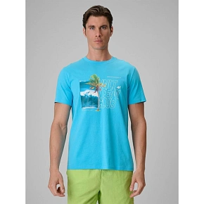 T-shirt regular z nadrukiem męski 4F 4FRSS26TTSHM4303-33S