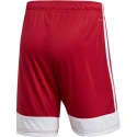 Męskie spodenki Tastigo 19 DP3681 - Adidas