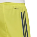 Spodenki męskie Condivo 20 M FI4578 - Adidas