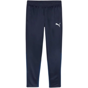 Spodnie Puma Team Goal Training M 658639 06