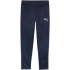 Spodnie Puma Team Goal Training M 658639 06