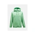 Bluza PEAK PERFORMANCE Original Small Logo Hood Men