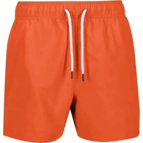 Spodenki męskie RMM016 Mawson III 6QP pomarańczowe - Regatta