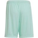 Spodenki dziecięce Entrada 22 Jr HC5058 - Adidas