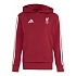 Bluza z kapturem adidas Junior Liverpool FC KG2499